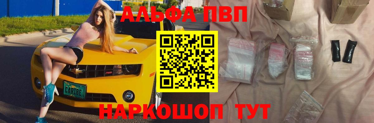 Альфа ПВП СК Гуково